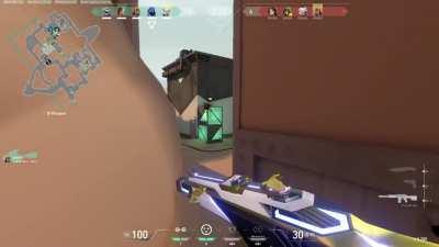 Anyone else know you could put cypher cams on skye flashes?