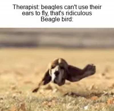 Thanks, I hate Beagle Bird