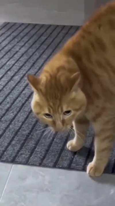 Imagine hearing this at 3 am