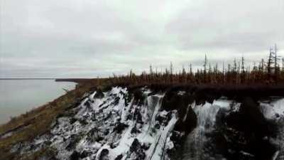 🔥 Genome analysis reveals 46,000-year-old worms defrosted from the Siberian permafrost to be a new species of nematodes