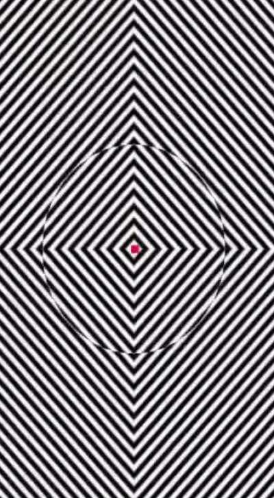 Just Focus on video Red Dot