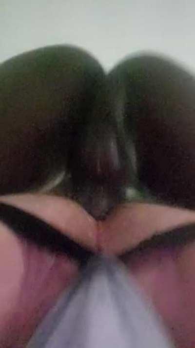 I want another bear to do this to 🤤