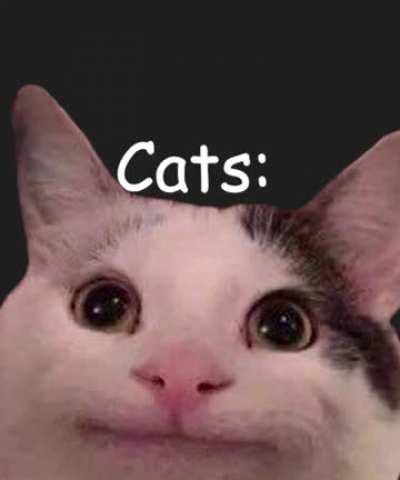 i should be lookin for a job rn but i must make worthless videos i cant help it