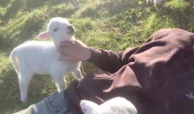 A really needy friend