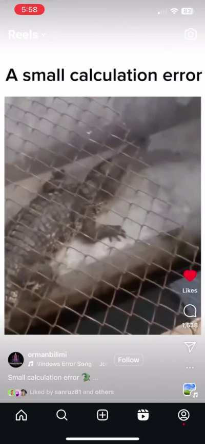 Okay, that crocodile wasn't that smart