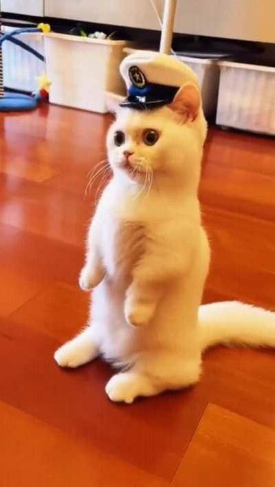 And Here Is Our Furry Policeman