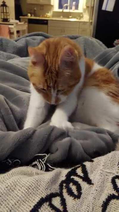 My old man Stan is making breakfast biscuits for anyone sorting by new