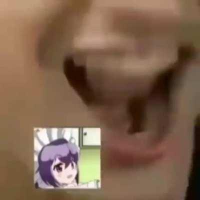 LOLICON TEM Q MORRER GRRRRRRRRR