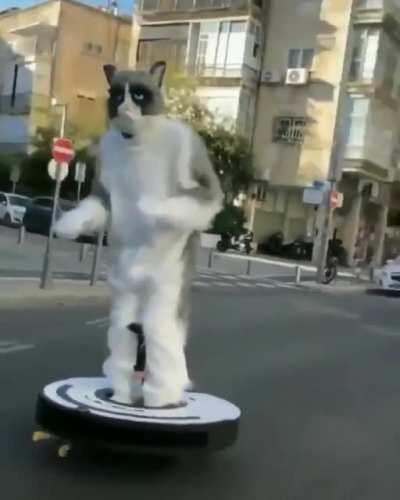 Well there’s something you don’t see every day