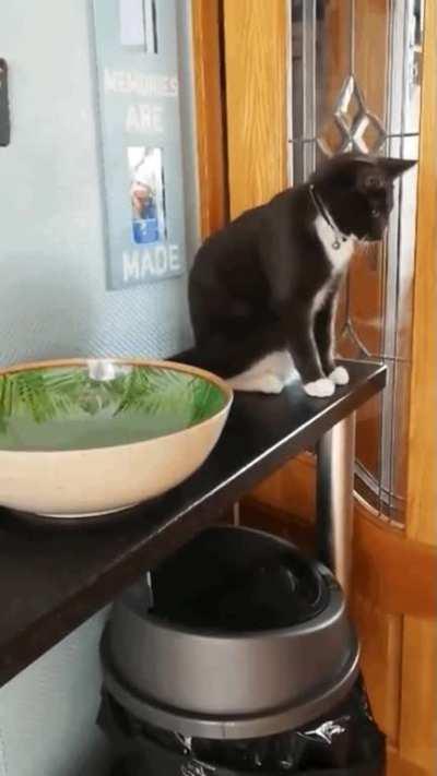 did you ask my permission ? NO YOU DID NOT