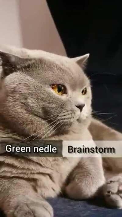 I've listened to this about a hundred times now and still don't understand it