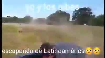 Tal vez el dylan no me saco de latinoamerica, pero no me importa yo tengo mis propios métodos...