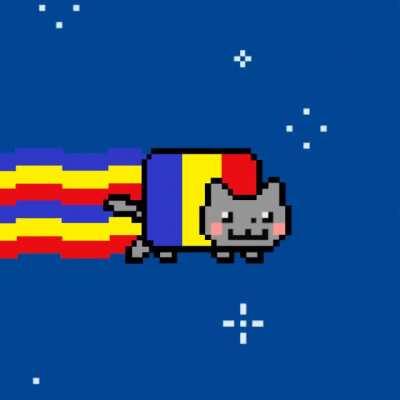 🇷🇴🔥💯🔝🥇 BEST CAT RWMANIAN CAT 🔝🥇🔥🇷🇴💯
