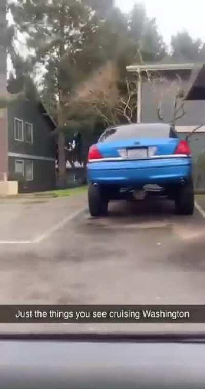 My buddy found this gem