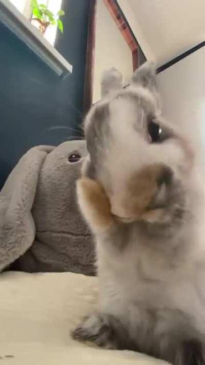 Gotta stay clean 🧼😇