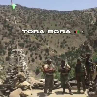 TORA BORA