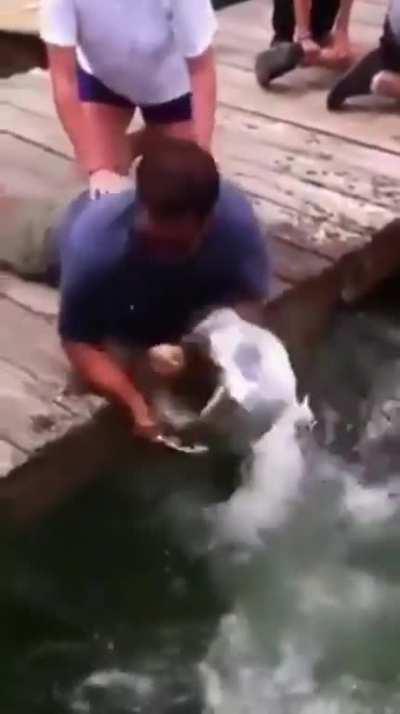 Anyone fancy coming to feed the fish?