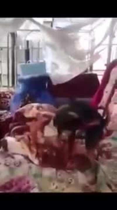 What the fuck Doris!