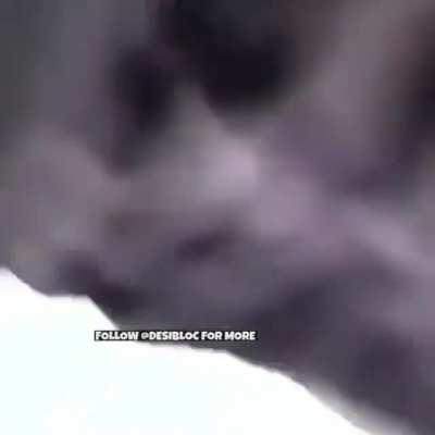 Hope mods don't remove this