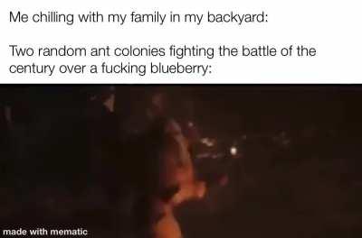 Thousands die to feed the queen every day