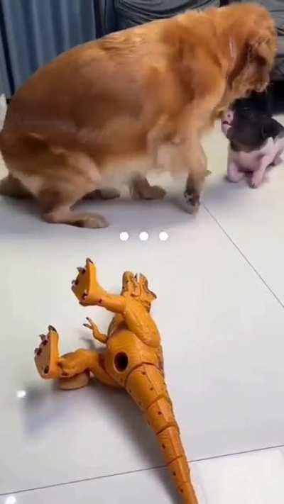 The Art of the Deal! 🤣