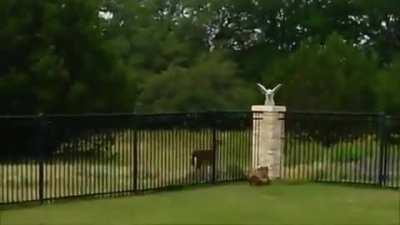 Having fun together..