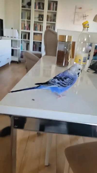 I wont stand for this!!