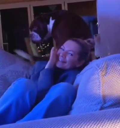 Give treats or get beats