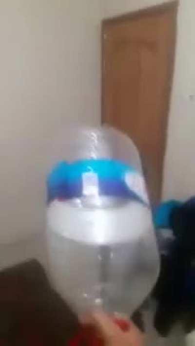 Yarasa nasıl bayıltılır