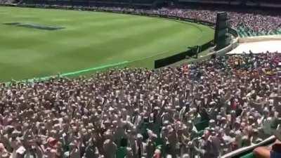 A marvelous day at the cricket.