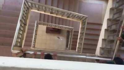 rat falls while background is playing vietnamese song 