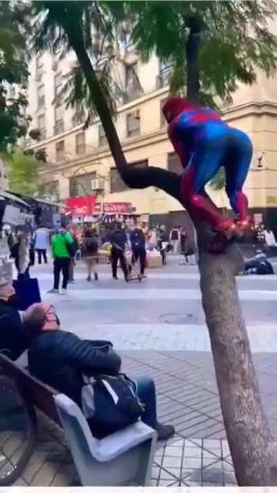 POV: You Downloaded the Wrong Spiderman.