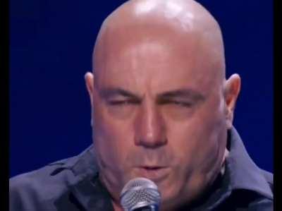 The true Joe Rogan experience