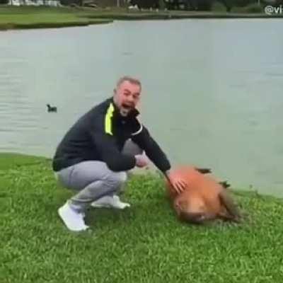 Capybara made his day