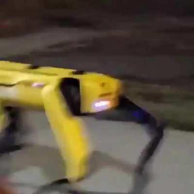 This Boston Dynamics robot, walking through a neighborhood at night...