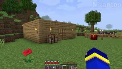 When you find your First House In your Minecraft World!