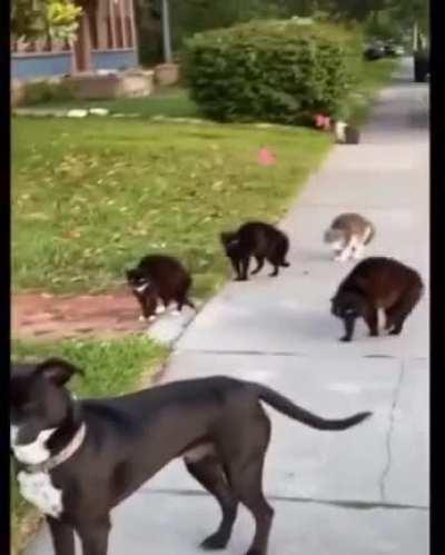 Wrong neighborhood