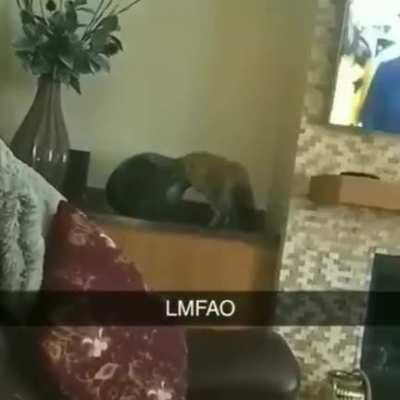 It was his favorite vase