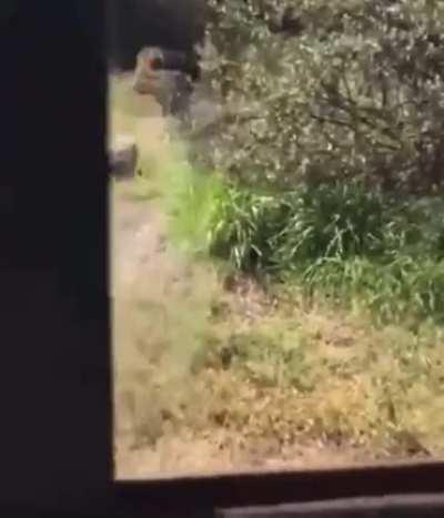 If you can't even run for your life why the hell would you enter