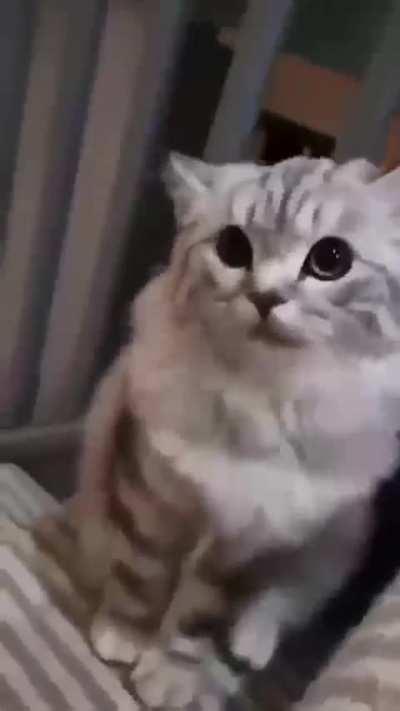 Happiest British man