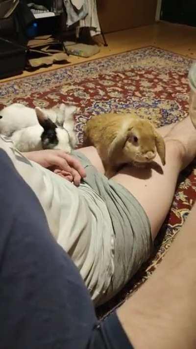 I think this might be a serious snack addiction