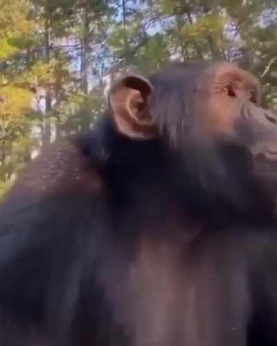 reject humanity🦧 | joseado de @nutcake.mp4 en IG