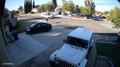 I take this corner slow because my neighbors always cut it. Today it paid off.