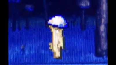 i love the truffles walk cycle