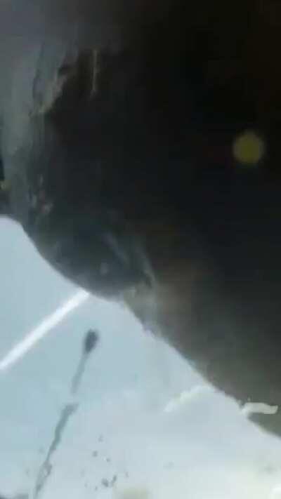 I really don’t know what is going on....