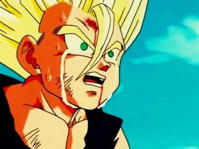 You just made Gohan cry. What did you say?!