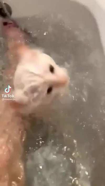 Bath time