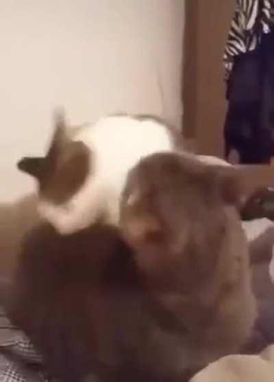 When you're so surprised you're rendered speechless for a minute...