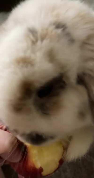 Bullying me and stealing my apple 🥺👉🏻👈🏻