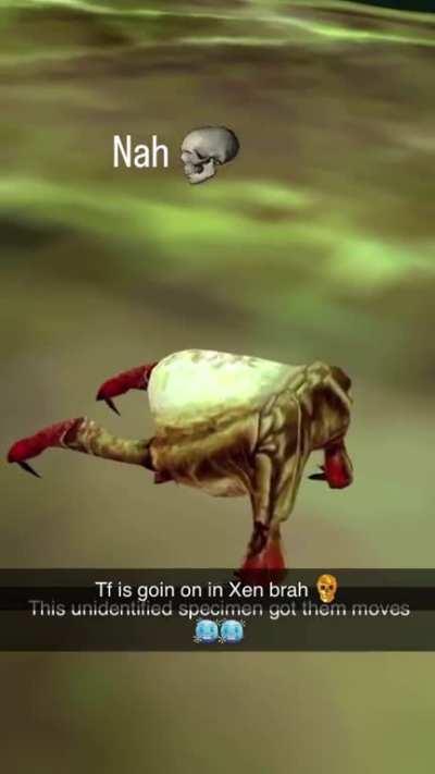 Hell naw dawg i hate being in xen :skull: :skull: